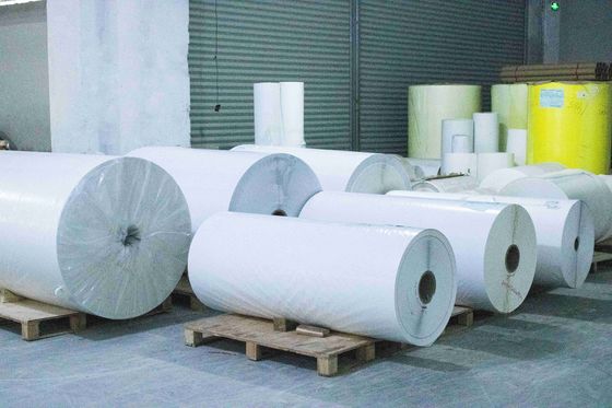 Chất liệu chống trầy xước giấy nhiệt Jumbo Roll độ nhớt cao Stong Tiểu loại