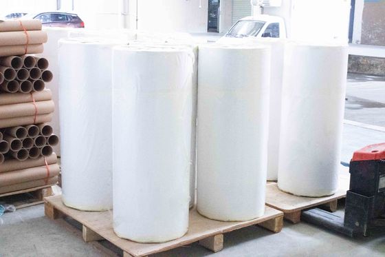 Nhãn giấy BOPP thông thường, nhọn, dán dầu, giấy kraft