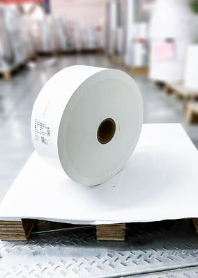 Giấy giấy BOPP màu trắng thường, chống nước và dính, nhãn BOPP màu mờ