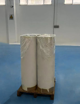 Glu tổng hợp giấy nhiệt tự dán Giấy cuộn Jumbo chống trầy xước