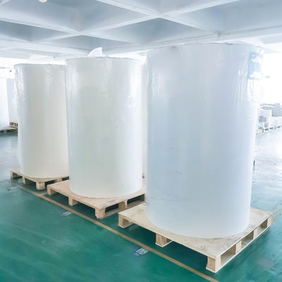 Thông thường dán nhiệt Jumbo in giấy cuộn dán dầu keo