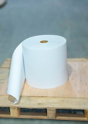 Polar Beauty Jumbo in giấy cuộn keo Acrylic chuyển nhiệt