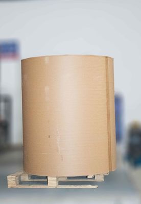 Máy dán nhiệt có thể tháo rời Jumbo Roll, Giới thiệu Liner giấy Roll 1000m dài